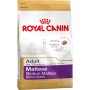 Nourriture Royal Canin Maltese Adult Adulte Maïs Oiseaux 1,5 Kg