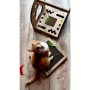 Grattoir pour Chats Carton+Pets Carton Bronze 34,5 x 4 x 34,5 cm