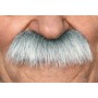 Moustache Viving Costumes_202812 Accessoire de costumes