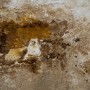 Cuadro Lienzo Abstracto 140 x 70 cm