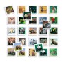 Jouet Educatif Diset Memo Photo Animales 54 Pièces