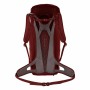 Mochila de Montaña Salewa Alp Mate Ws 24 L Marrón