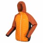 Chaqueta Deportiva para Hombre Regatta Andreson VIII Hybrid Naranja