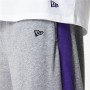 Pantalon pour Adulte New Era NBA LA Lakers Gris Homme