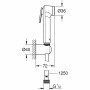 Alcachofa de ducha con manguera Grohe 26175001 Silicona