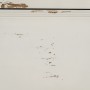 Caisson à Tiroirs Blanc Bois d'épicéa Bois MDF 105 x 50 x 87,5 cm