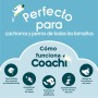 Correa para Perro Coachi Entrenamiento Azul 2,5 m