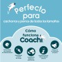 Fourre-tout Coachi Train & Treat Bleu