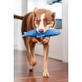 Jouet pour chien Red Dingo 25,5 cm Requin Intérieur/Extérieur