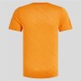 Camiseta de Manga Corta Unisex Odlo Zeroweight Enginee Naranja