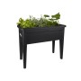 Soporte para plantar Elho Green Basics XXL Negro Plástico 75 cm