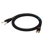 Câble USB Sound station quality (SSQ) SS-1430 Noir 5 m