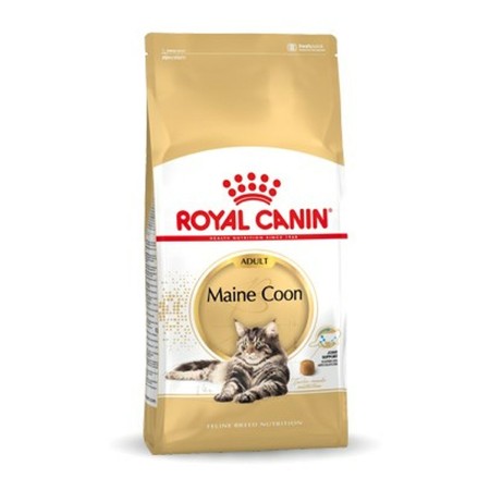 Aliments pour chat Royal Canin Maine Coon Adult + 1 an Adulte Oiseaux 10 kg