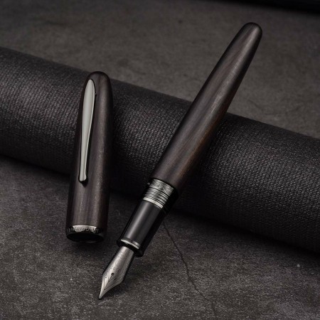 Stylo Calligraphique 660 Noir (Reconditionné A)