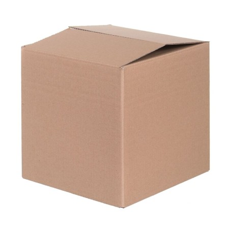 Caisse Nc System Carton 20 x 20 x 20 cm (20 Unités)