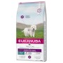 Nourriture Eukanuba Daily Care Sensitive Skin Adulte Poisson 12 kg