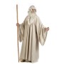 Déguisement pour Adultes Limit Costumes XL Magicien Tunique
