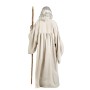 Déguisement pour Adultes Limit Costumes XL Magicien Tunique