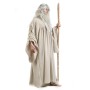 Déguisement pour Adultes Limit Costumes XL Magicien Tunique