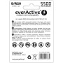 Batterie rechargeable EverActive EVHRL20-5500 5000 mAh 1,2 V (2 Unités)