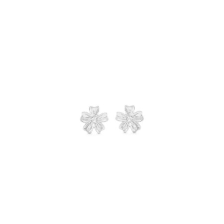 Pendientes Mujer Secrecy E8641CDAWA900 Plata de ley 2 cm