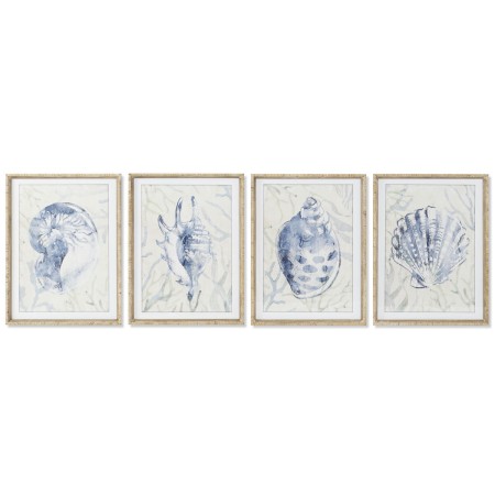 Cadre Home ESPRIT méditerranéen Conque 45 x 2,5 x 60 cm (4 Unités)