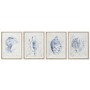 Cadre Home ESPRIT méditerranéen Conque 45 x 2,5 x 60 cm (4 Unités)