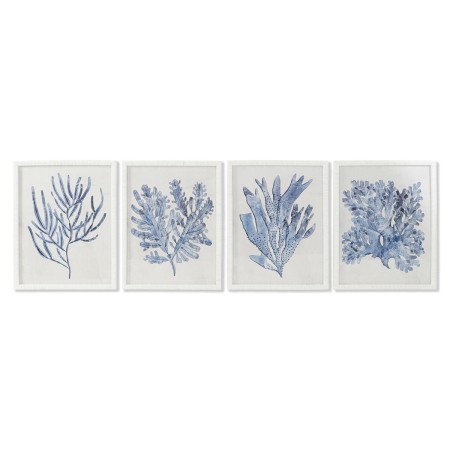 Cadre Home ESPRIT méditerranéen 50 x 2,5 x 65 cm (4 Unités)