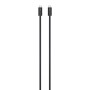 Câble USB-C Apple MWP02ZM/A Noir 3 m