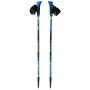 Bâton Trekking Viking Ruten Pro Nordic Bleu Noir (2 Unités)