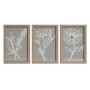 Juego de 3 cuadros Home ESPRIT Flor Shabby Chic 20 x 2 x 30 cm (3 Piezas)