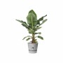 Pot Elho Gris Plastique Rond Moderne Ø 47 cm