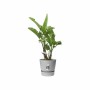 Pot Elho Gris Plastique Rond Moderne Ø 47 cm