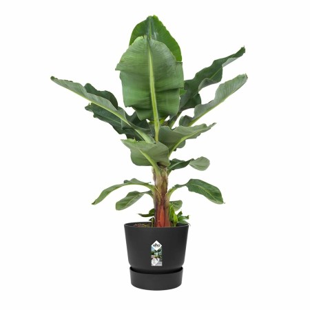 Pot Elho Noir Ø 55 cm Plastique