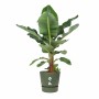 Pot Elho Vert Ø 55 cm Plastique