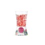 Désodorisant Fruits rouges 150 g Gel (12 Unités)