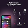 Bombilla Inteligente Philips 915005733901 Negro Sintético Plástico (2 Unidades)