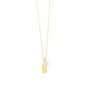 Collier Femme Secrecy P7213CDAWWC93 42 cm