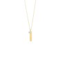 Collier Femme Secrecy P7217CDAWWC93 42 cm