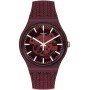 Montre Homme Swatch SVIR101-5300