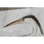Cadre Home ESPRIT Oiseau Oriental 70 x 4 x 100 cm (2 Unités)