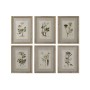 Cuadro Home ESPRIT Shabby Chic Plantas botánicas 30 x 2 x 40 cm (6 Unidades)