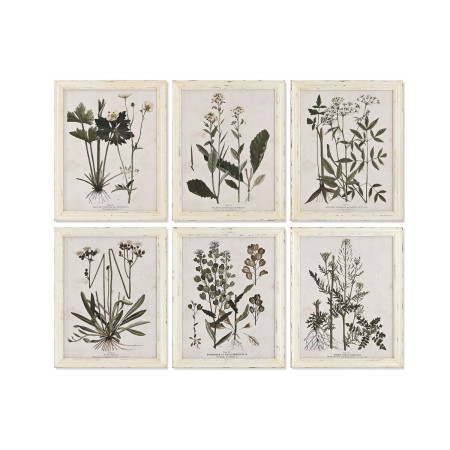 Cadre Home ESPRIT Shabby Chic Plantes botaniques 40 x 1,5 x 50 cm (6 Unités)