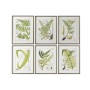 Cuadro Home ESPRIT Moderno Helecho 50 x 2,5 x 65 cm (6 Unidades)
