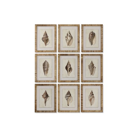 Cuadro Home ESPRIT Mediterráneo Caracola 30 x 2,5 x 40 cm (9 Unidades)
