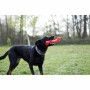 Jouet pour chien Aimé Play Strong Rouge