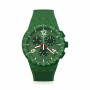 Montre Homme Swatch SUSG407