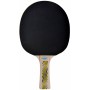 Raqueta de Ping Pong Donic Schildkröt Legends 500 Marrón