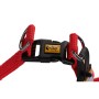 Arnés para Perro Dingo Easy Walk Rojo