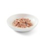 Comida para gato SCHESIR Pescado 85 g